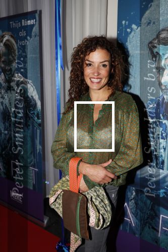 Den Haag 5 maart 2019
Premiere Art in de koninklijke schouwburg van Den Haag. katja Schuurman