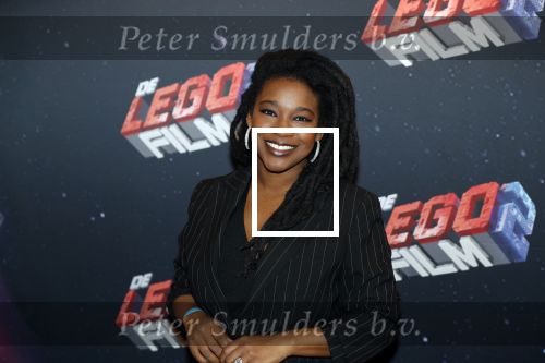 Utrecht 3 februari 2019
Premiere Lego film in de bioscoop bij de jaarbeurs. Leona Philippo met haar zoontje Manuel en broer