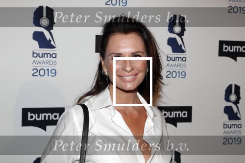 Hilversum 11 maart 2019
Uitreiking BUMA prijzen in studio 21. Marco en Leontine Borsato.