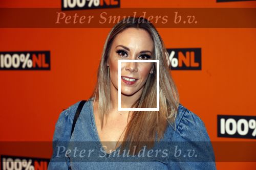 Amsterdam 7 februari 2019
Uitreiking 100%NL awards. Lisa Lois met vriend