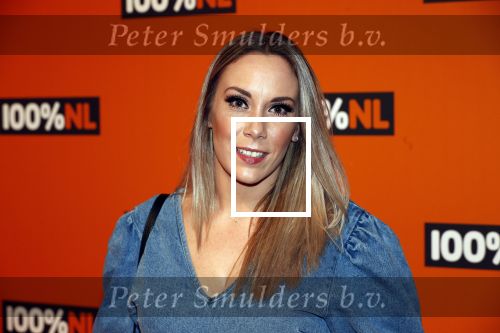 Amsterdam 7 februari 2019
Uitreiking 100%NL awards. Lisa Lois met vriend