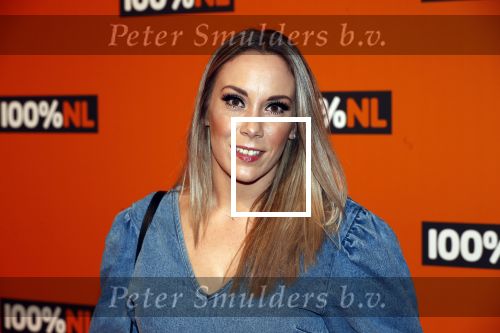Amsterdam 7 februari 2019
Uitreiking 100%NL awards. Lisa Lois met vriend
