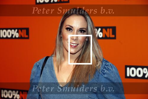 Amsterdam 7 februari 2019
Uitreiking 100%NL awards. Lisa Lois met vriend