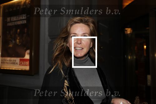 Amsterdam 15 februari 2019
Premiere de verleiders in Carre. Mariska Dietz