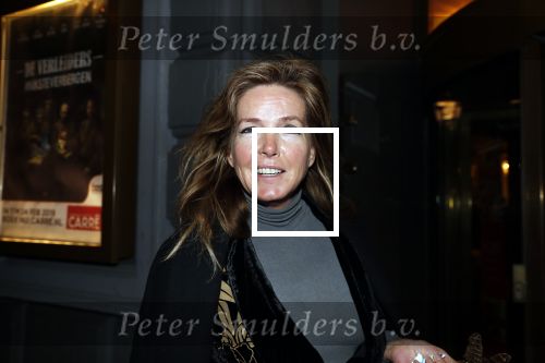 Amsterdam 15 februari 2019
Premiere de verleiders in Carre. Mariska Dietz