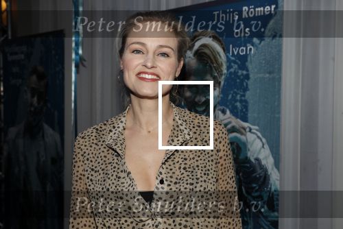 Den Haag 5 maart 2019
Premiere Art in de koninklijke schouwburg van Den Haag. Marit v Bohemen met partner Braat â€¦