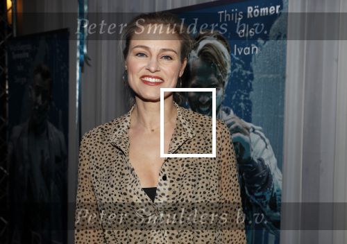 Den Haag 5 maart 2019
Premiere Art in de koninklijke schouwburg van Den Haag. Marit v Bohemen met partner Braat â€¦