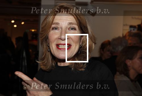 Amsterdam 7 februari 2019
Boekpresentatie Maarten v Nispen bij Scheltema. Mieke van der Weij