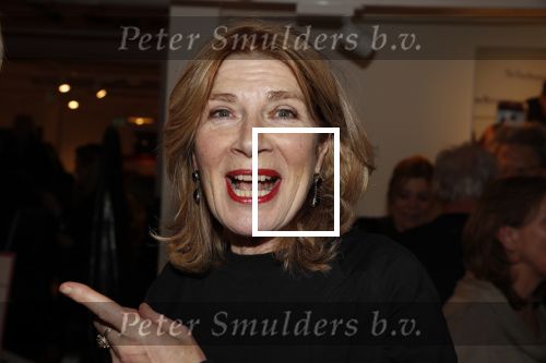 Amsterdam 7 februari 2019
Boekpresentatie Maarten v Nispen bij Scheltema. Mieke van der Weij