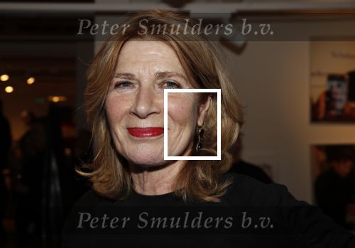Amsterdam 7 februari 2019
Boekpresentatie Maarten v Nispen bij Scheltema. Mieke van der Weij