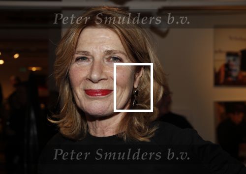 Amsterdam 7 februari 2019
Boekpresentatie Maarten v Nispen bij Scheltema. Mieke van der Weij