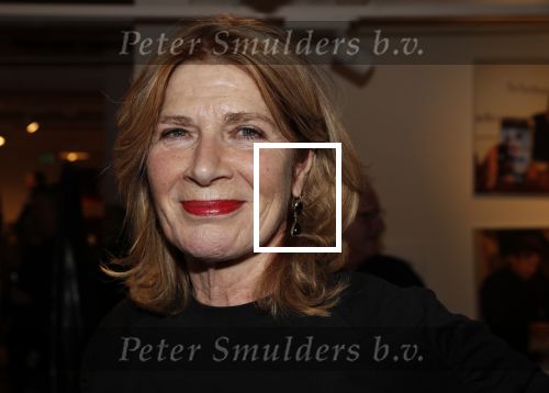 Amsterdam 7 februari 2019
Boekpresentatie Maarten v Nispen bij Scheltema. Mieke van der Weij