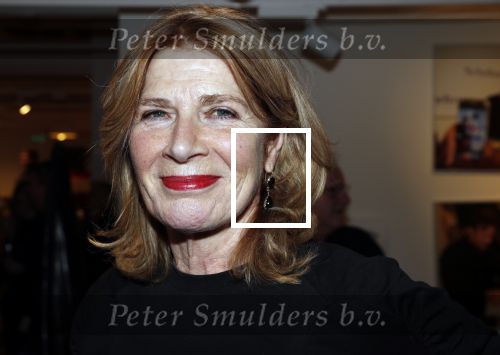 Amsterdam 7 februari 2019
Boekpresentatie Maarten v Nispen bij Scheltema. Mieke van der Weij