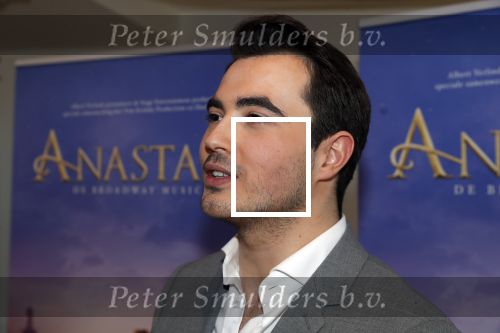 Amsterdam 14 februari 2019
Presentatie Cast Anastasia . De cast bestaat uit Carline Brouwer, Ad Knippels, Ellen Evers, Milan van Waardenburg, Tessa Sunniva van Tol, Rene van Kooten, Gerrie van der Klei.  Albert Verlinde van stage entertainment presenteert de cast van de Broadway musical Anastasia in Hermitage Amsterdam.
