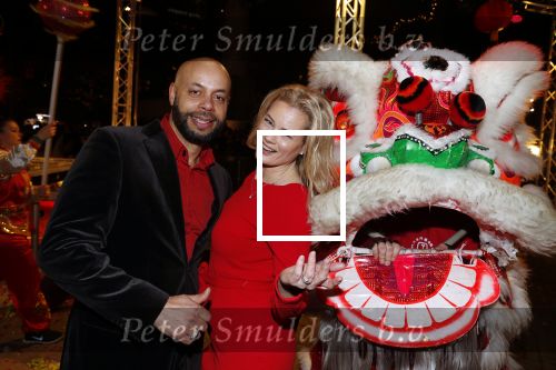 Amsterdam 5 februari 2019
Won Yip organiseert chinees nieuwjaar bij majestic op de dam. Monique Sluyter met man