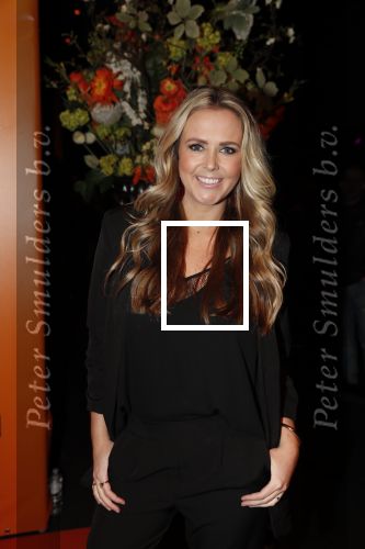 Amsterdam 7 februari 2019
Uitreiking 100%NL awards. Monique Smit zwanger