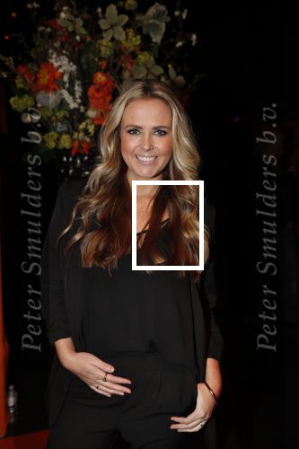 Amsterdam 7 februari 2019
Uitreiking 100%NL awards. Monique Smit zwanger