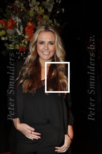 Amsterdam 7 februari 2019
Uitreiking 100%NL awards. Monique Smit zwanger