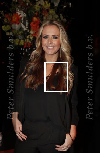 Amsterdam 7 februari 2019
Uitreiking 100%NL awards. Monique Smit zwanger