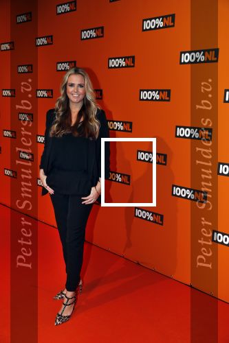 Amsterdam 7 februari 2019
Uitreiking 100%NL awards. Monique Smit zwanger