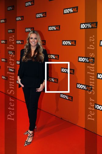 Amsterdam 7 februari 2019
Uitreiking 100%NL awards. Monique Smit zwanger