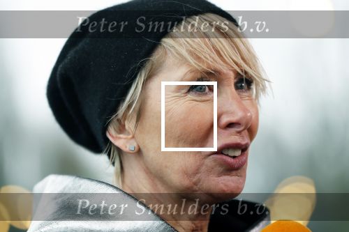 Amsterdam 8 februari 2019
Perspresentatie hollandse 100 (Lymphe en Co ) met oa Prins Bernhard jr Prinses Annette Prinses Margriet Monique des Bouvrie Simon Keizer en Nino Wilkes.
