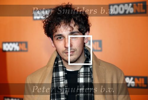 Amsterdam 7 februari 2019
Uitreiking 100%NL awards. Nielson