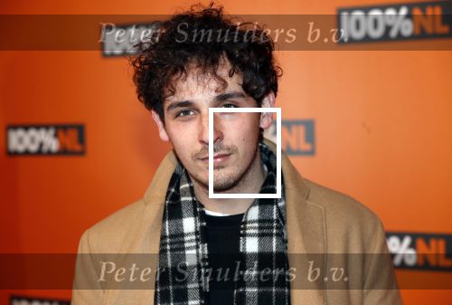 Amsterdam 7 februari 2019
Uitreiking 100%NL awards. Nielson