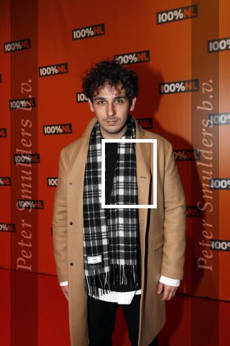 Amsterdam 7 februari 2019
Uitreiking 100%NL awards. Nielson
