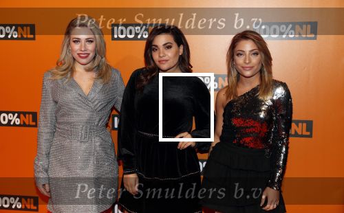 Amsterdam 7 februari 2019
Uitreiking 100%NL awards. Oâ€™g3ne
