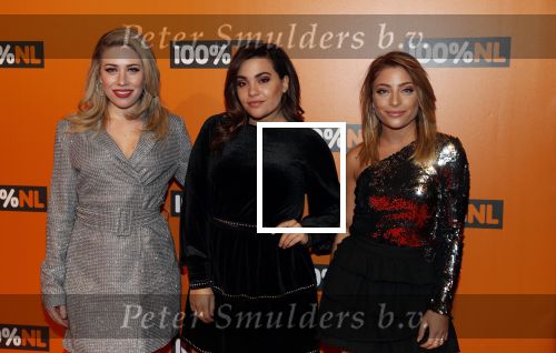 Amsterdam 7 februari 2019
Uitreiking 100%NL awards. Oâ€™g3ne