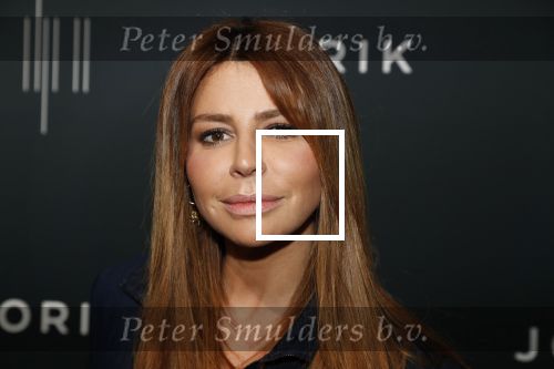 Amsterdam 28 februari 2019
Presentatie kledinglijn Lil Kleine , Jorik. Jorik kwam met zijn zwangere vriendin Jamie Vaes. Olcay Gulsen kwam met haar zus