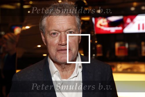 Amsterdam 6 februari 2019
Premiere de waarheid in het de la mar theater. Porgy Franssen kwam met zijn nieuwe vriendin Renee Fokker
