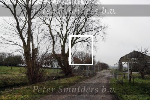 Wassenaar 30 januari 2019
Nieuwe huis / boerderij van prinses Margarita en haar man Tjalling ten Cate.