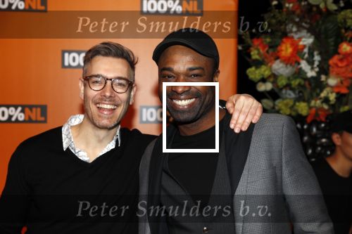Amsterdam 7 februari 2019
Uitreiking 100%NL awards. ramon Beuk