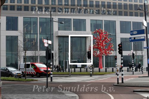 Breda, 21 Februari 2019
Patricia Paay rechtbank Breda