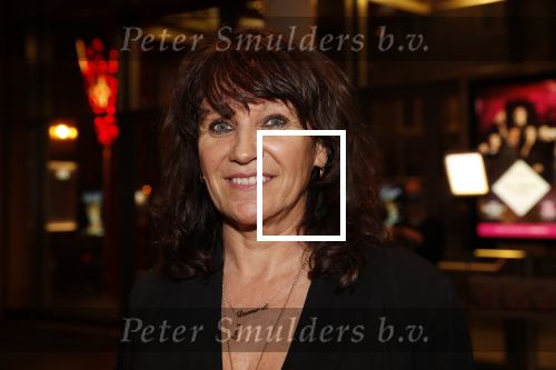Amsterdam 6 februari 2019
Premiere de waarheid in het de la mar theater. Porgy Franssen kwam met zijn nieuwe vriendin Renee Fokker
