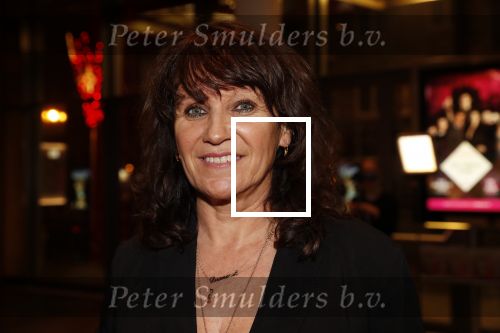 Amsterdam 6 februari 2019
Premiere de waarheid in het de la mar theater. Porgy Franssen kwam met zijn nieuwe vriendin Renee Fokker