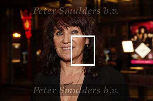 Amsterdam 6 februari 2019
Premiere de waarheid in het de la mar theater. Porgy Franssen kwam met zijn nieuwe vriendin Renee Fokker