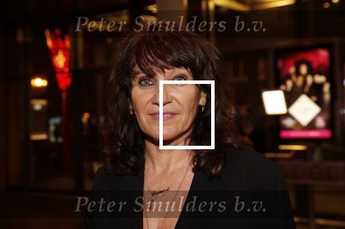 Amsterdam 6 februari 2019
Premiere de waarheid in het de la mar theater. Porgy Franssen kwam met zijn nieuwe vriendin Renee Fokker