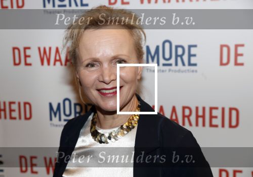 Amsterdam 6 februari 2019
Premiere de waarheid in het de la mar theater. Renee Soutendijk