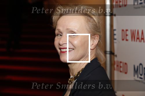 Amsterdam 6 februari 2019
Premiere de waarheid in het de la mar theater. Renee Soutendijk