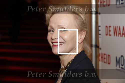 Amsterdam 6 februari 2019
Premiere de waarheid in het de la mar theater. Renee Soutendijk