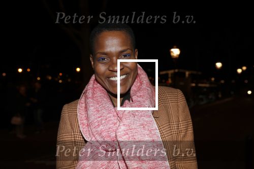 Amsterdam 15 februari 2019
Premiere de verleiders in Carre. Romana Vrede