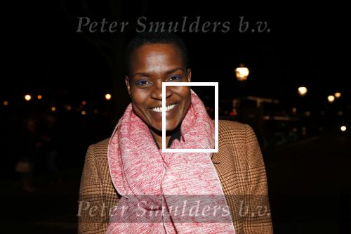 Amsterdam 15 februari 2019
Premiere de verleiders in Carre. Romana Vrede