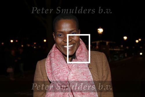 Amsterdam 15 februari 2019
Premiere de verleiders in Carre. Romana Vrede