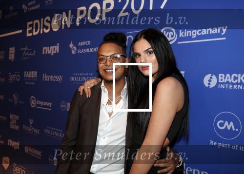 Amsterdam 11 februari 2019
Uitreiking Edisons bij de westergasfabriek. Ronnie Flex met Famke Louise
