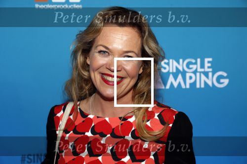 Amsterdam 7 maart 2019
Premiere Single camping in nieuwe delamar theater. Roos Slikker