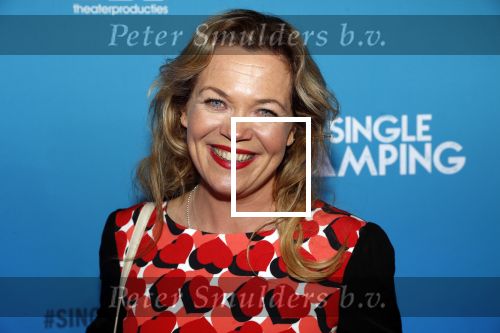 Amsterdam 7 maart 2019
Premiere Single camping in nieuwe delamar theater. Roos Slikker