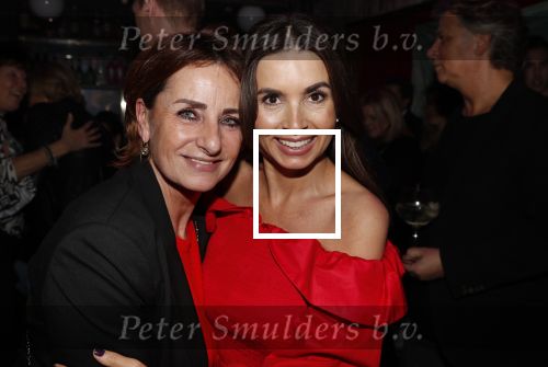 Amsterdam 14 februari 2019
Feestje voor de kluivert dog rescue foundation in het toppers cafe. Rossana Kluivert met Lucienne de Kenter